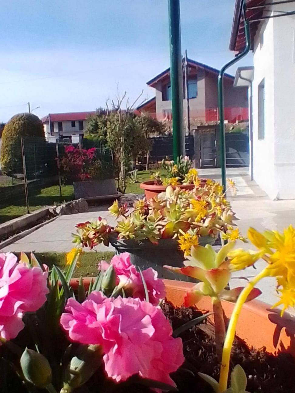 Casa Vacanze Terra Di Mezzo Invorio Inferiore Extérieur photo